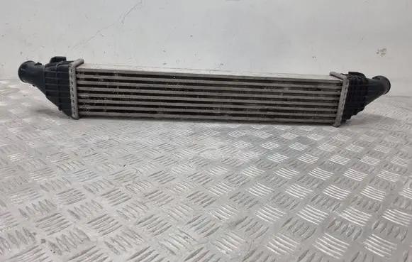 Dodge Journey Intercooler radiator L9279001