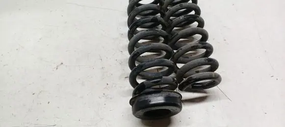 BMW X1 E84 Rear coil spring 6764419
