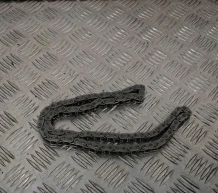 Hyundai Santa Fe Timing chain (engine) 