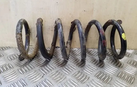 Opel Antara Rear coil spring