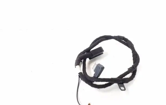 Mercedes-Benz S W221 Sound system wiring loom A2218206215