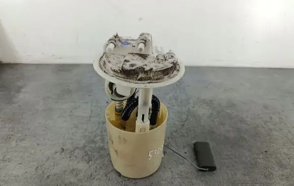 Citroen Xsara Picasso In-tank fuel pump 
