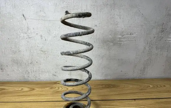 Volkswagen Golf VI Rear coil spring 