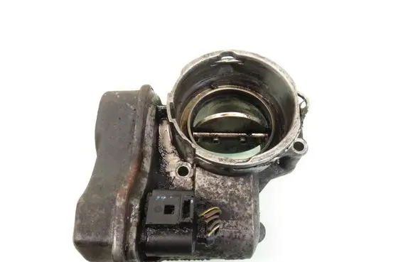 Throttle body valve