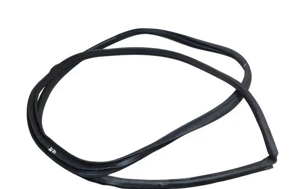 Lexus NX Rear door rubber seal (on body)