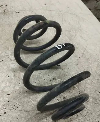 Volkswagen PASSAT B5.5 Rear coil spring