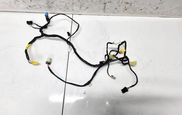 Tesla Model S Other wiring loom F181FPCAA01