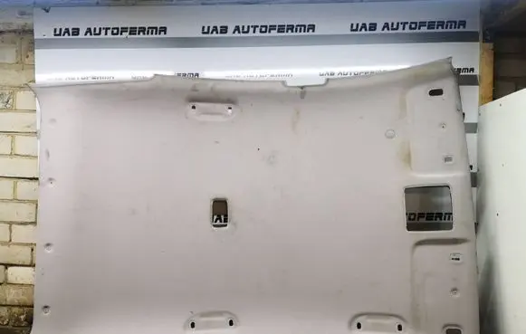 Hyundai i30 Headlining 195050201
