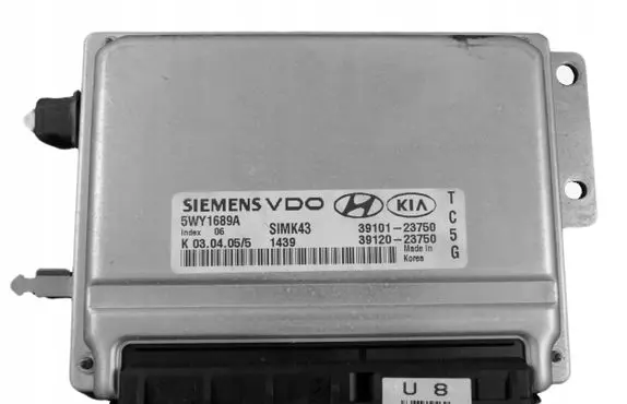 Hyundai Coupe Engine control unit/module 5WY1689A