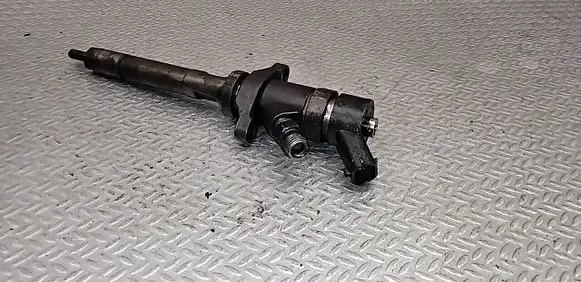 Volvo V50 Fuel injector 0445110259