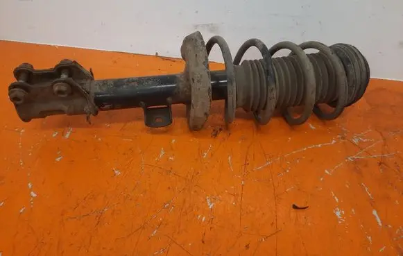 Fiat Punto (199) Front shock absorber/damper
