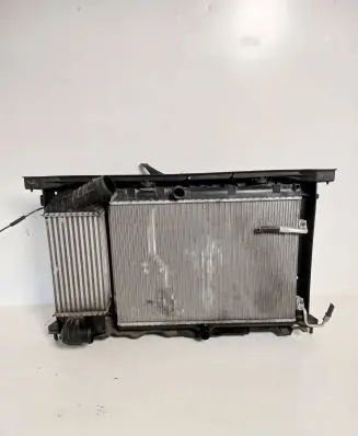 Citroen DS4 Radiator set 