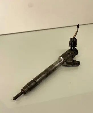 Peugeot Partner III Fuel injector 0445110955 9828959880