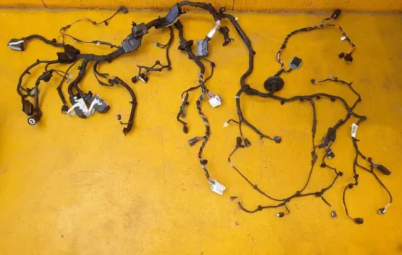 Ford Focus Other wiring loom NX6T91PM52288