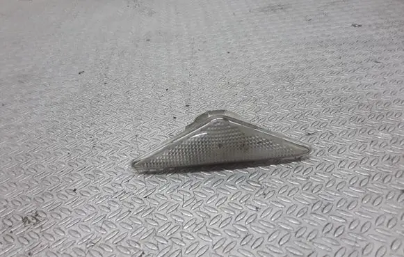 Front fender indicator light