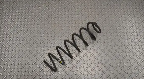 Opel Crossland X Rear coil spring