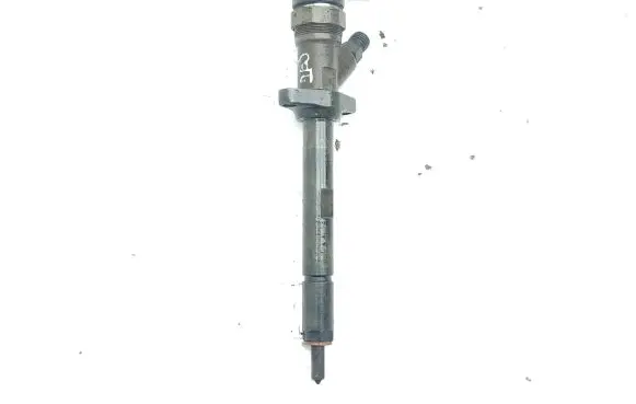 Peugeot 406 Fuel injector 9637277980 0445110036