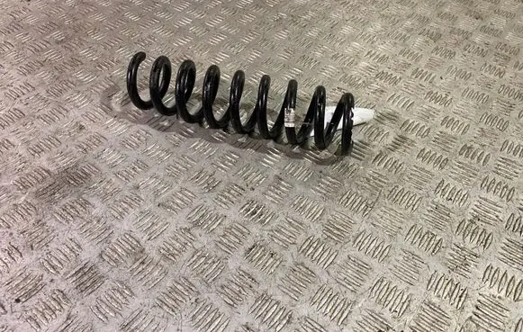 Rear coil spring