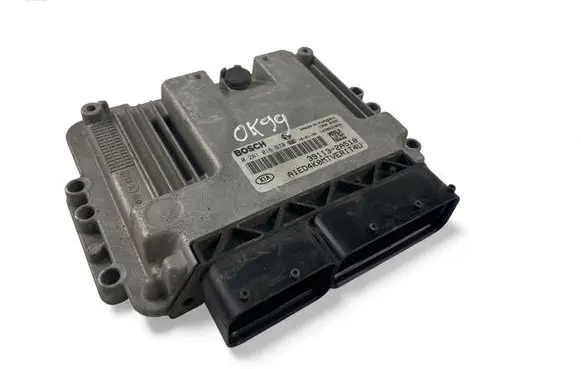 Engine control unit/module ECU