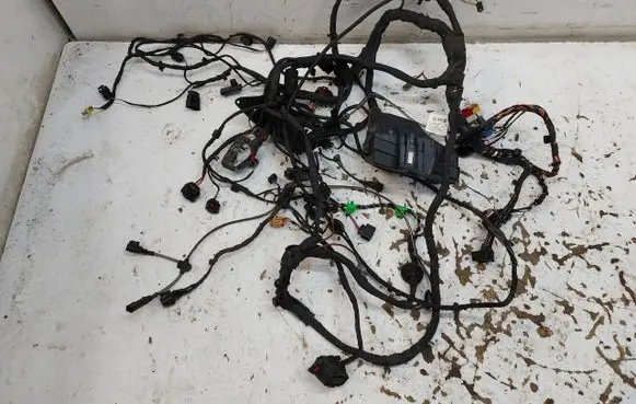 Audi Q4 Sportback e-tron Other wiring loom TAB016490BDJLK01