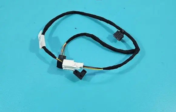 Rear door wiring loom