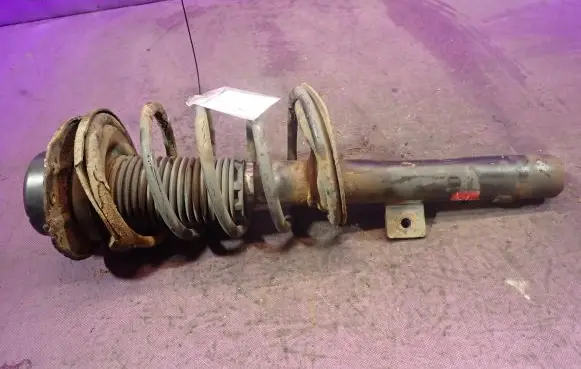 Front shock absorber with coil spring
