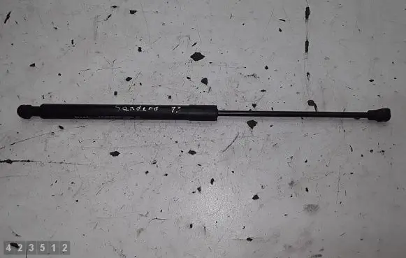 Renault Sandero I Tailgate/trunk strut/damper 904529943R