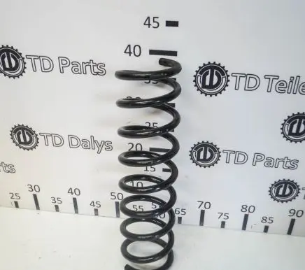 Ford Kuga II Rear coil spring
