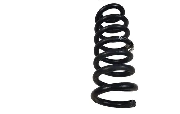 Rear coil spring