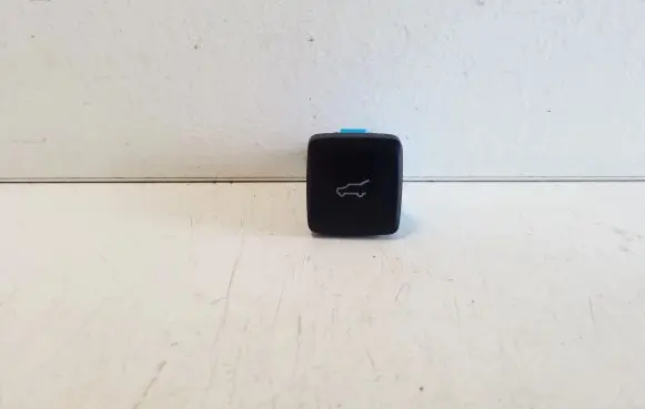 Tailgate opening switch