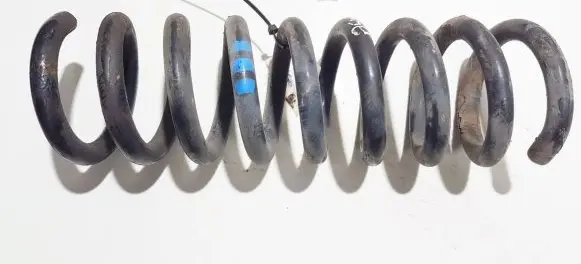 Rear coil spring