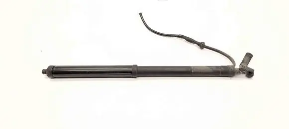 Tailgate/trunk strut/damper