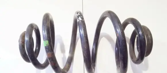 Volkswagen PASSAT B5.5 Rear coil spring