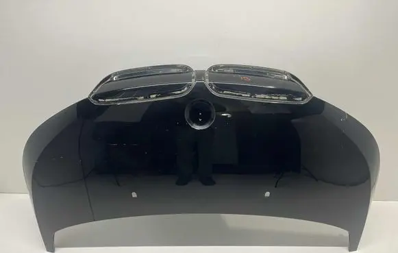 Engine bonnet/hood