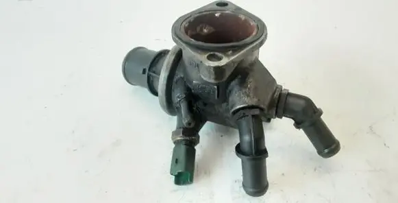 Thermostat/thermostat housing