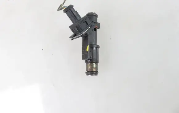 Peugeot 407 Fuel injector 01F004A