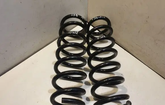 Rear coil spring
