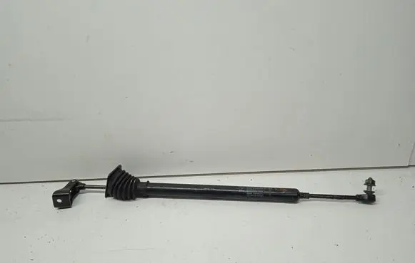 Porsche Panamera (970) Rear door check strap stopper 97053615200