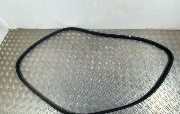 Nissan Ariya Front door rubber seal