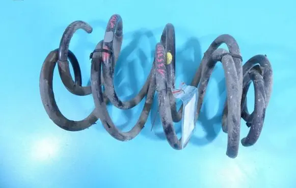 Front coil spring