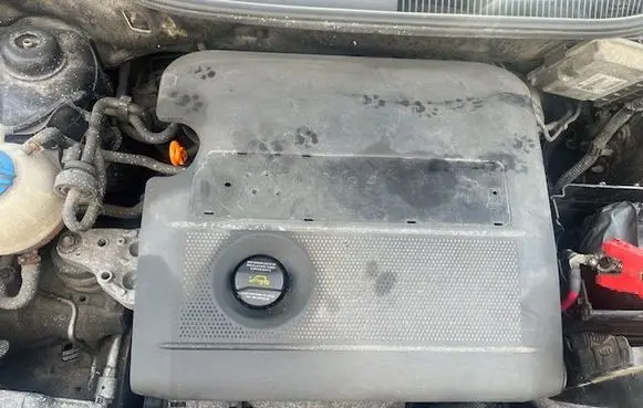 Seat Ibiza III (6L) Engine 