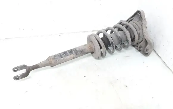 Audi A4 S4 B7 8E 8H Front shock absorber with coil spring 8E0413031DD 8E041238