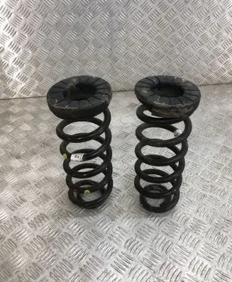 Rear coil spring