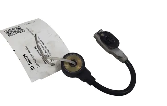Peugeot 307 Detonation knock sensor 