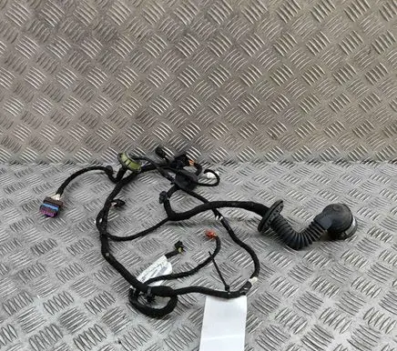 Peugeot 407 Front door wiring loom 9659703180