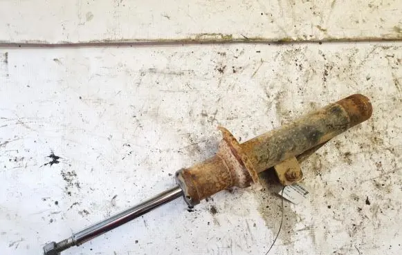 Peugeot 406 Front shock absorber/damper