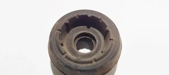 Coil spring mount