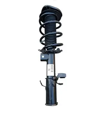 Ford Kuga III Front shock absorber/damper LX61-18K001-ECE
