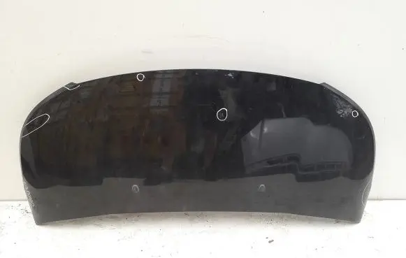 Citroen C3 Picasso Engine bonnet/hood 24R0304015