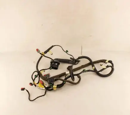 Front door wiring loom